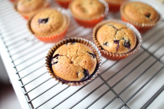 collations-muffins-yogourt-et-bleuets